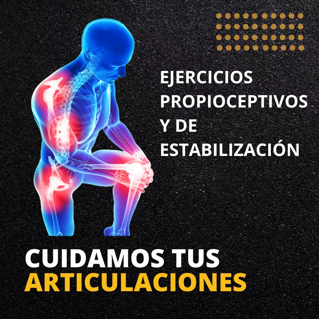 Ejercicios Propioceptivos